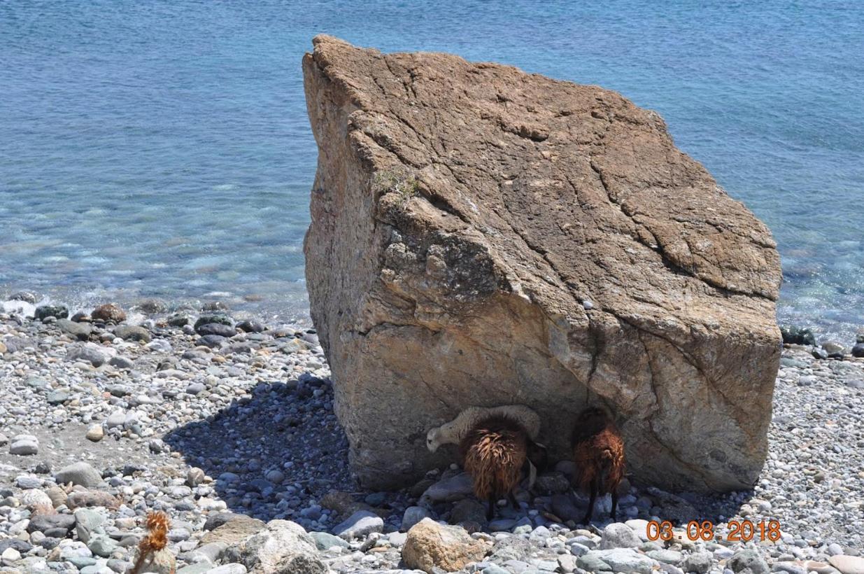 Island Villa Agia Galini Dış mekan fotoğraf