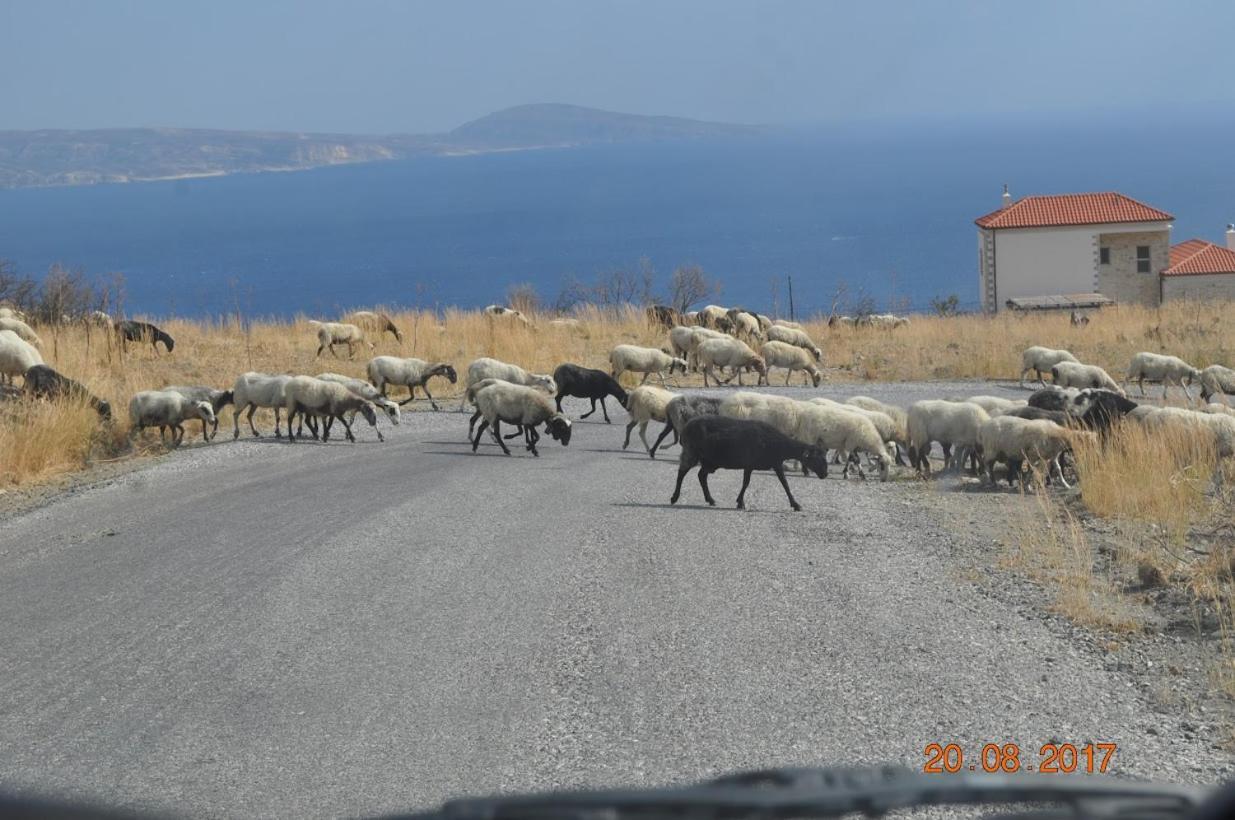 Island Villa Agia Galini Dış mekan fotoğraf