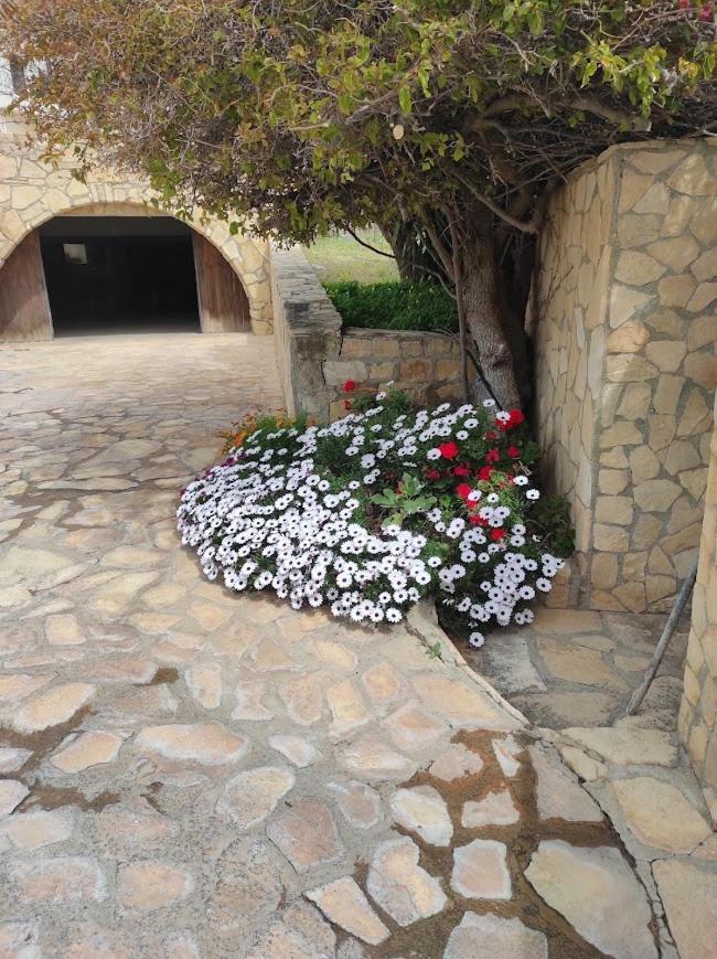 Island Villa Agia Galini Dış mekan fotoğraf