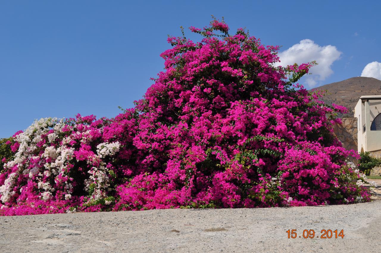 Island Villa Agia Galini Dış mekan fotoğraf